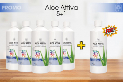 ALOE ATTIVA 5+1