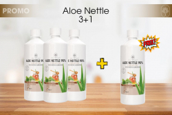 3  x 4 Aloe Nettle