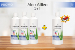 3 x4 Aloe Attiva