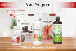 Burn Program-EU