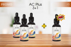 AC Plus 3+1