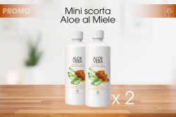 Mini Scorta Aloe Miele