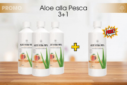 3X4 Aloe Vera 98% PESCA