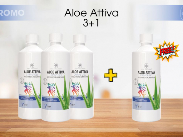 3 x4 Aloe Attiva