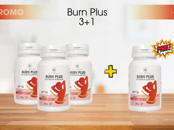 Burn Plus 3+1