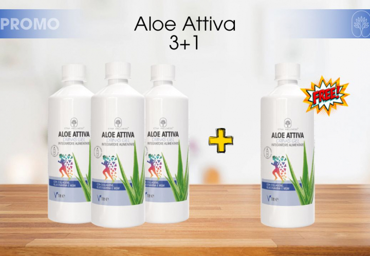 3 x4 Aloe Attiva
