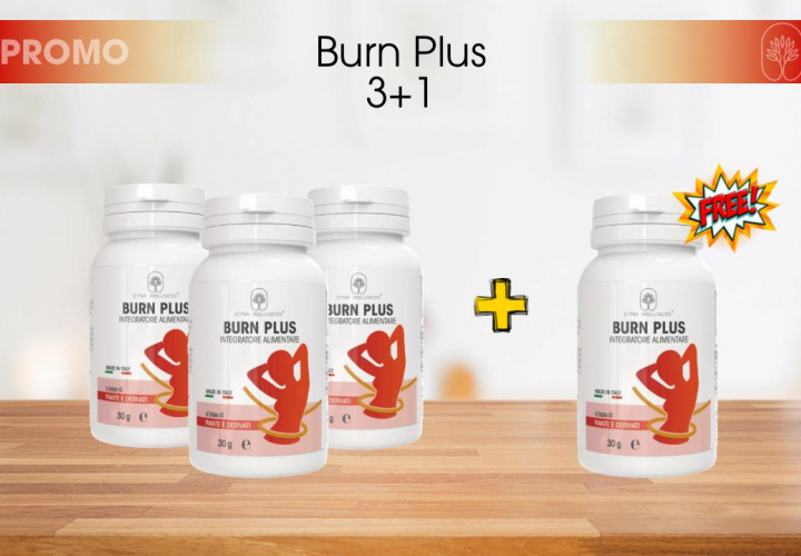 Burn Plus 3+1