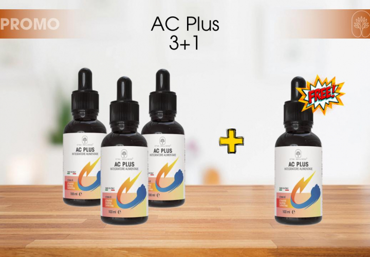 AC Plus 3+1