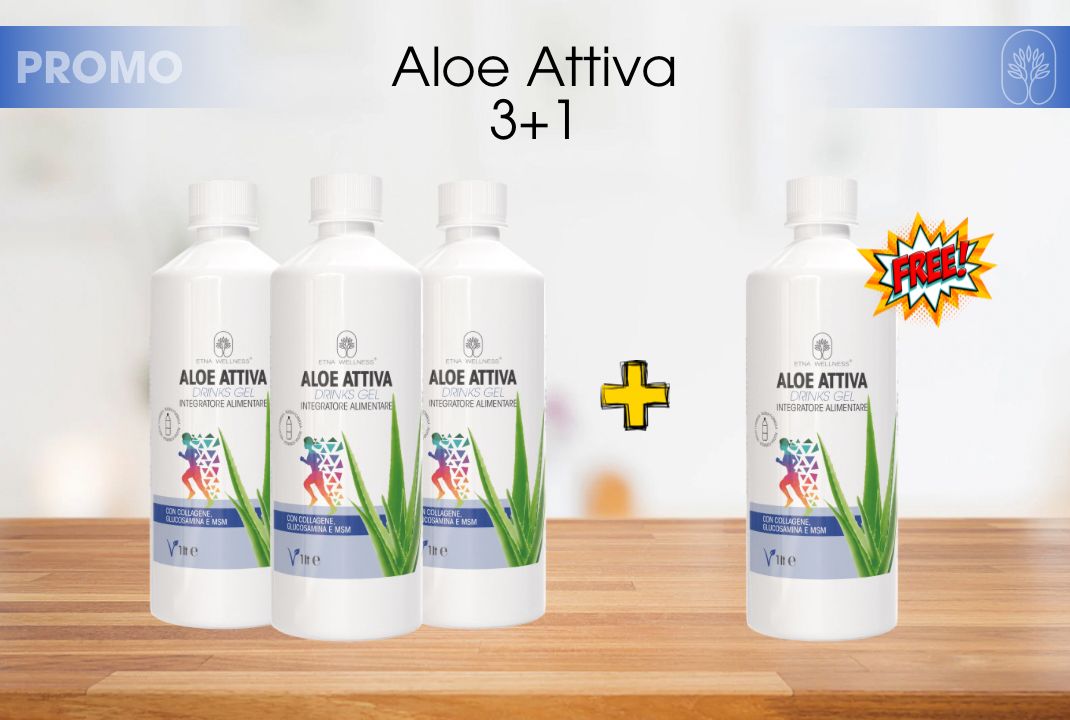 3 x4 Aloe Attiva
